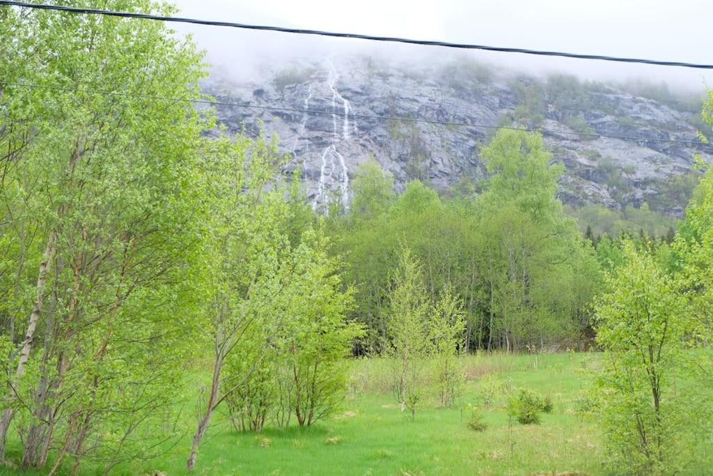Apartment With Lake View In Jolster Årdal Eksteriør bilde