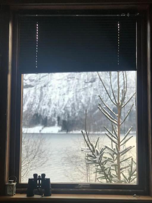 Apartment With Lake View In Jolster Årdal Eksteriør bilde