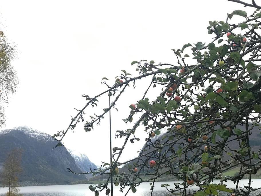 Apartment With Lake View In Jolster Årdal Eksteriør bilde